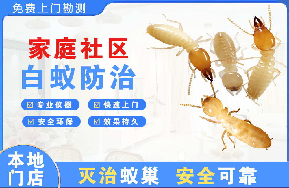 贵阳家庭社区白蚁防治