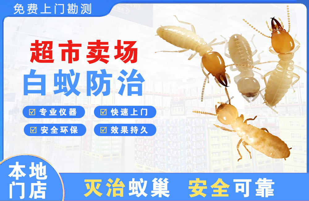 贵阳超市卖场白蚁防治