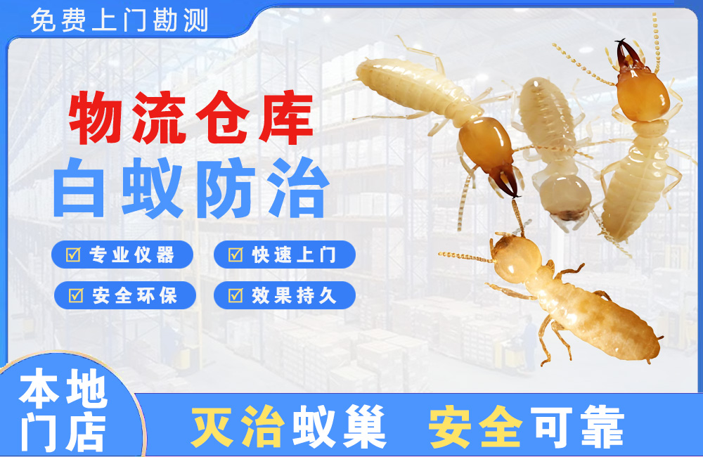 贵阳物流仓库白蚁防治