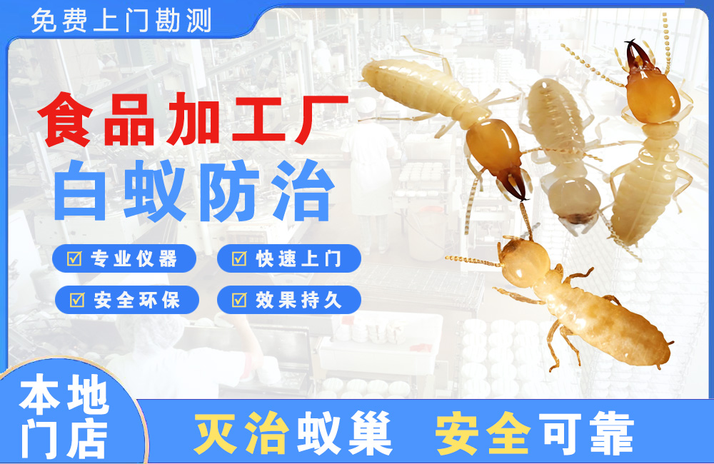 贵阳食品加工厂白蚁防治