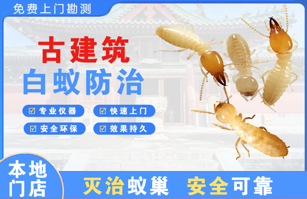 贵阳古建筑白蚁防治