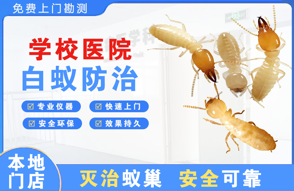 贵阳学校医院白蚁防治