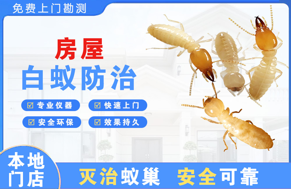 贵阳房屋白蚁防治