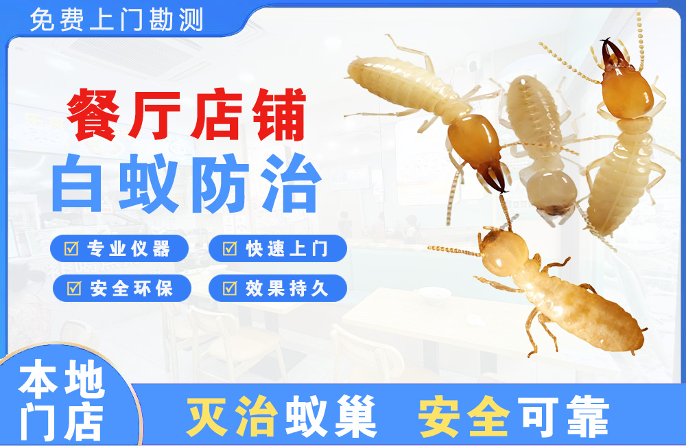 贵阳餐厅店铺白蚁防治